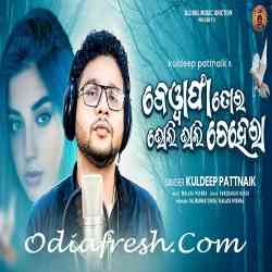 Bewafa Tor Bholi Bhali Chehera